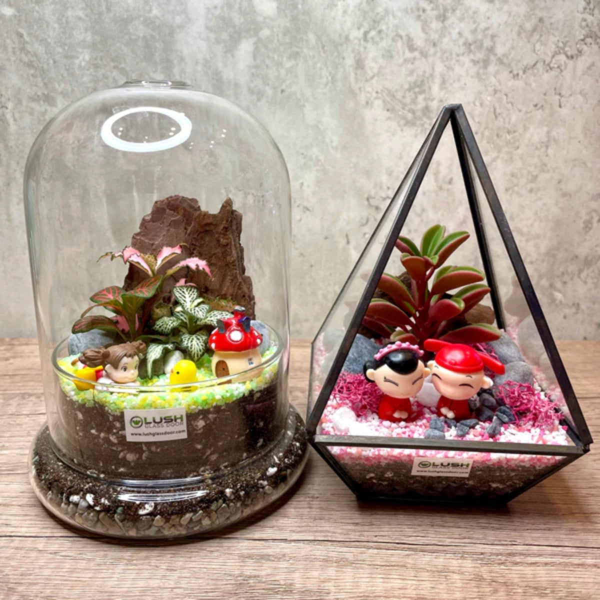 2 Pax Fun & Therapeutic Geometric Terrarium & Dome Terrarium Workshop Package