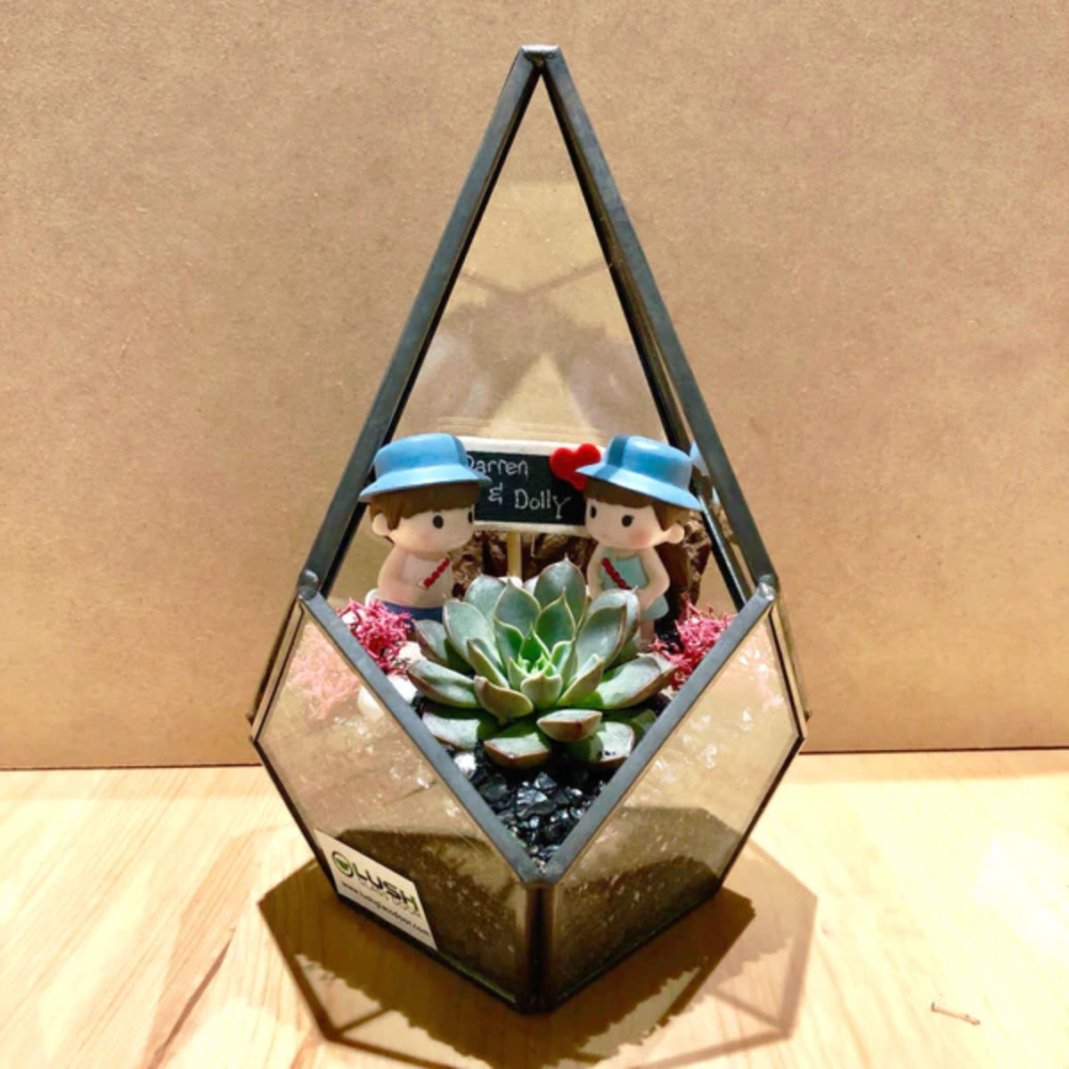 2 Pax Fun & Therapeutic Geometric Terrarium & Dome Terrarium Workshop Package