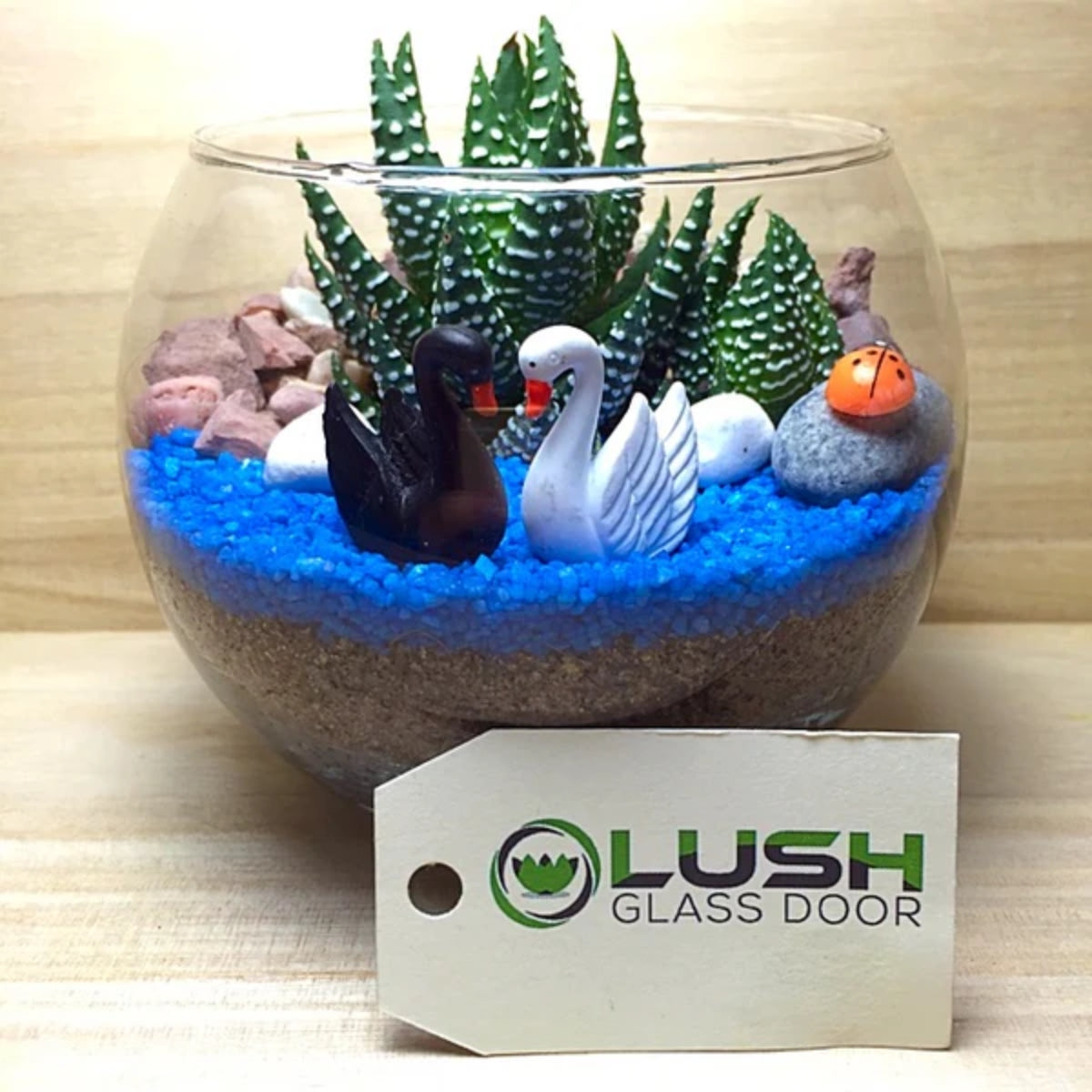 4 Pax Fun & Therapeutic Terrarium Workshop Package