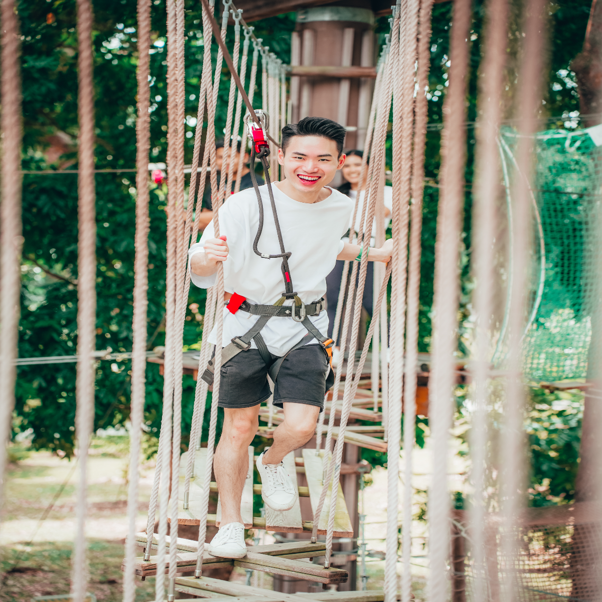 FOREST ADVENTURE - Grand Course