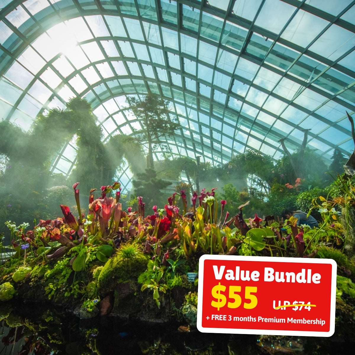 UPlay Premium Exclusive: Gardens by the Bay Bundle
