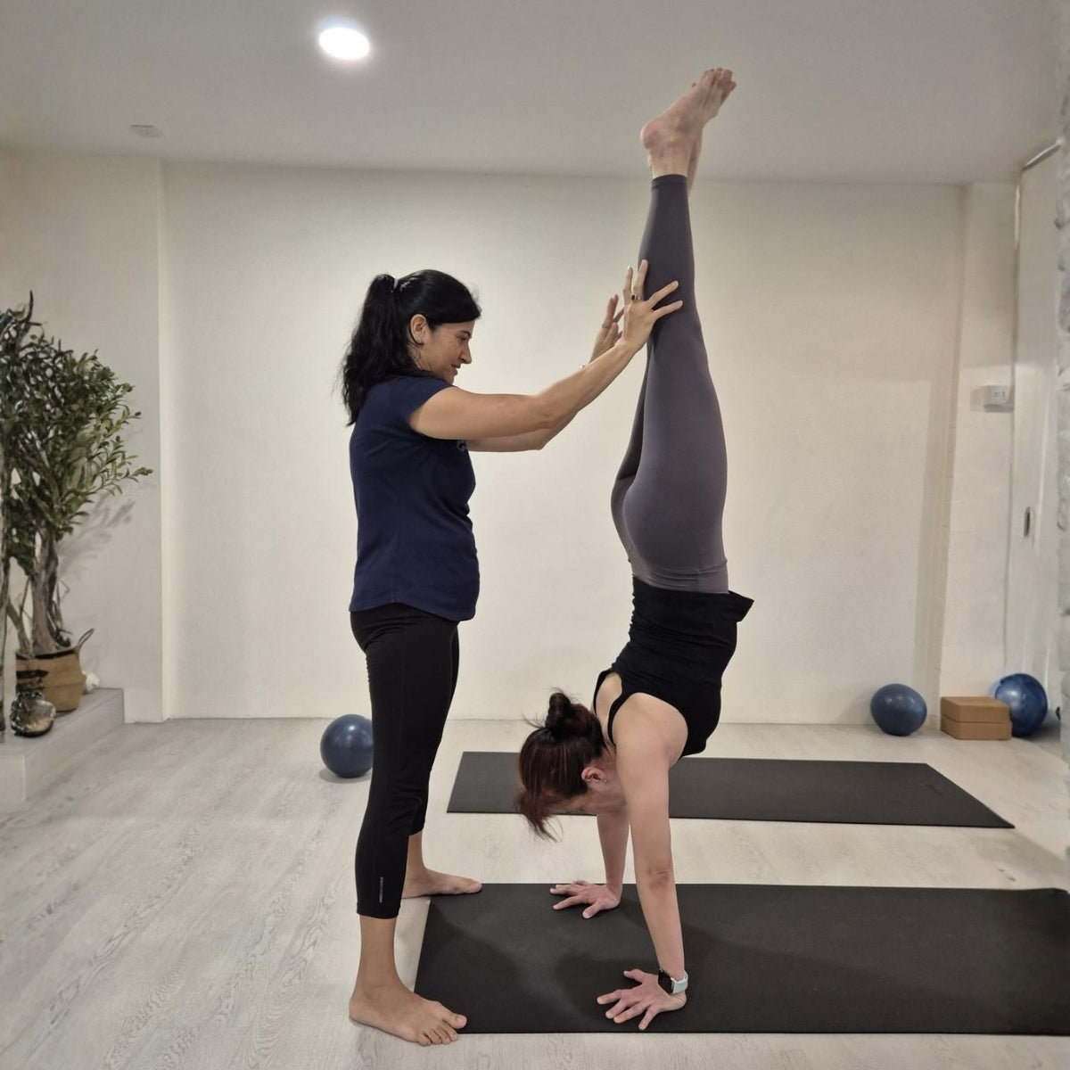 Handstand Masterclass Trial Session