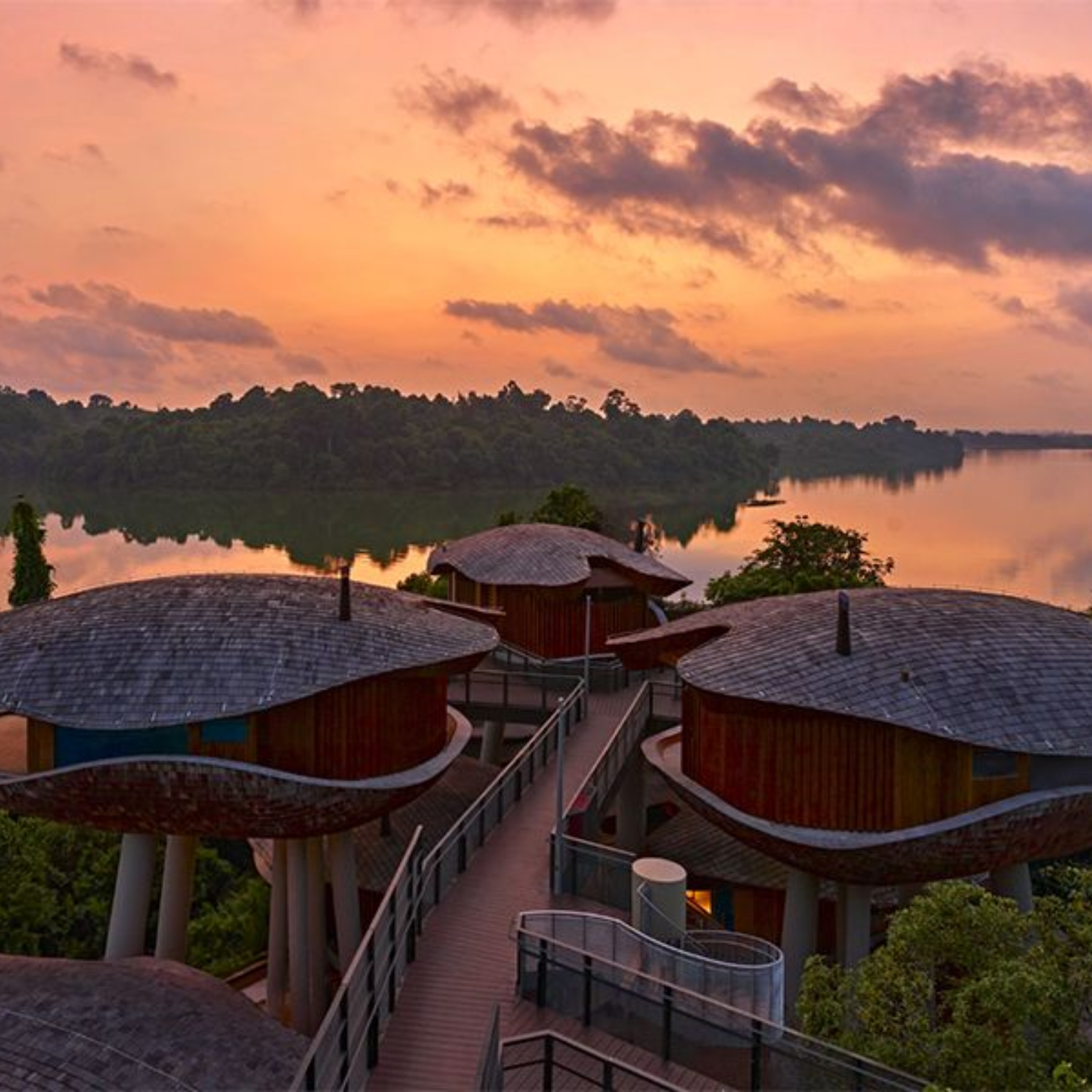 2D1N Rainforest Sanctuary Escape: Mandai Rainforest Resort by Banyan Tree