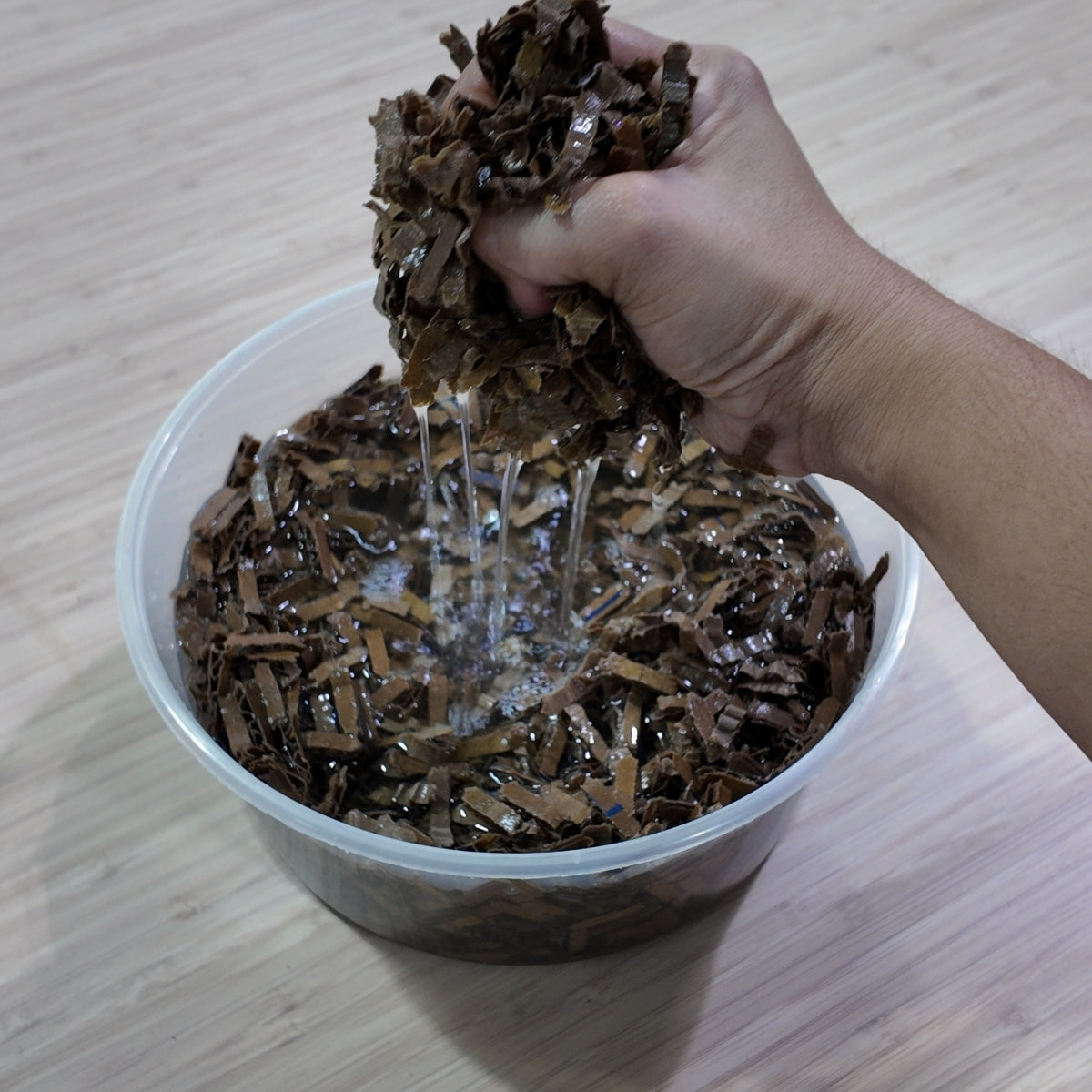 Paper Alchemy: Making Clay from Recycled Paper for 2 Adults and 2 Children
