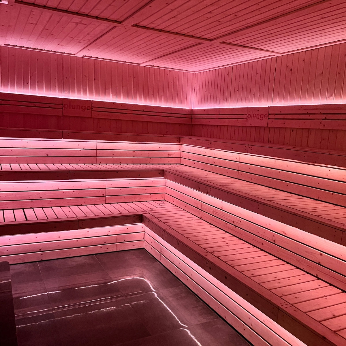 Cold Plunge, Sauna & Recovery (One Off-Peak Session)