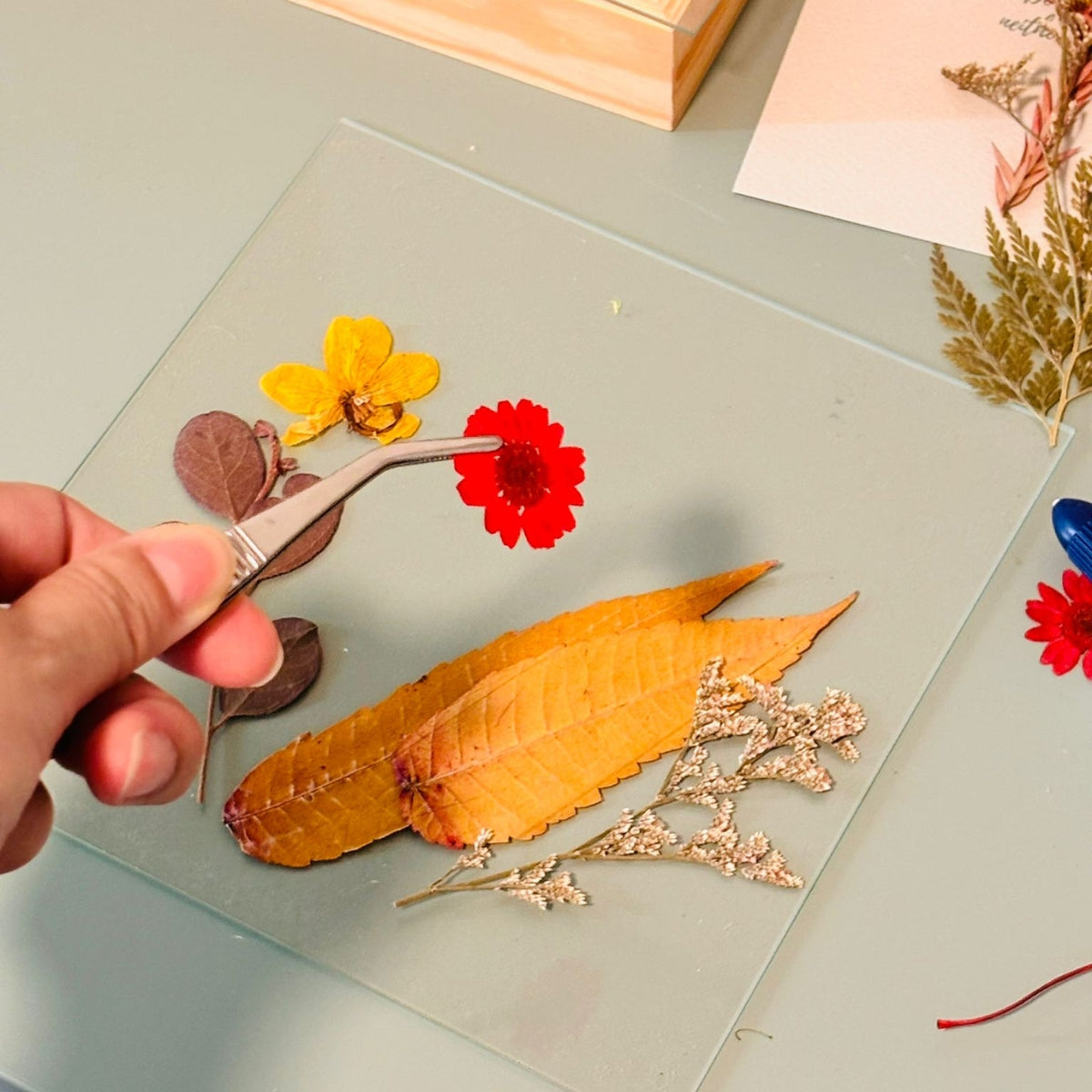 Pressed Flower Layout Private Workshop