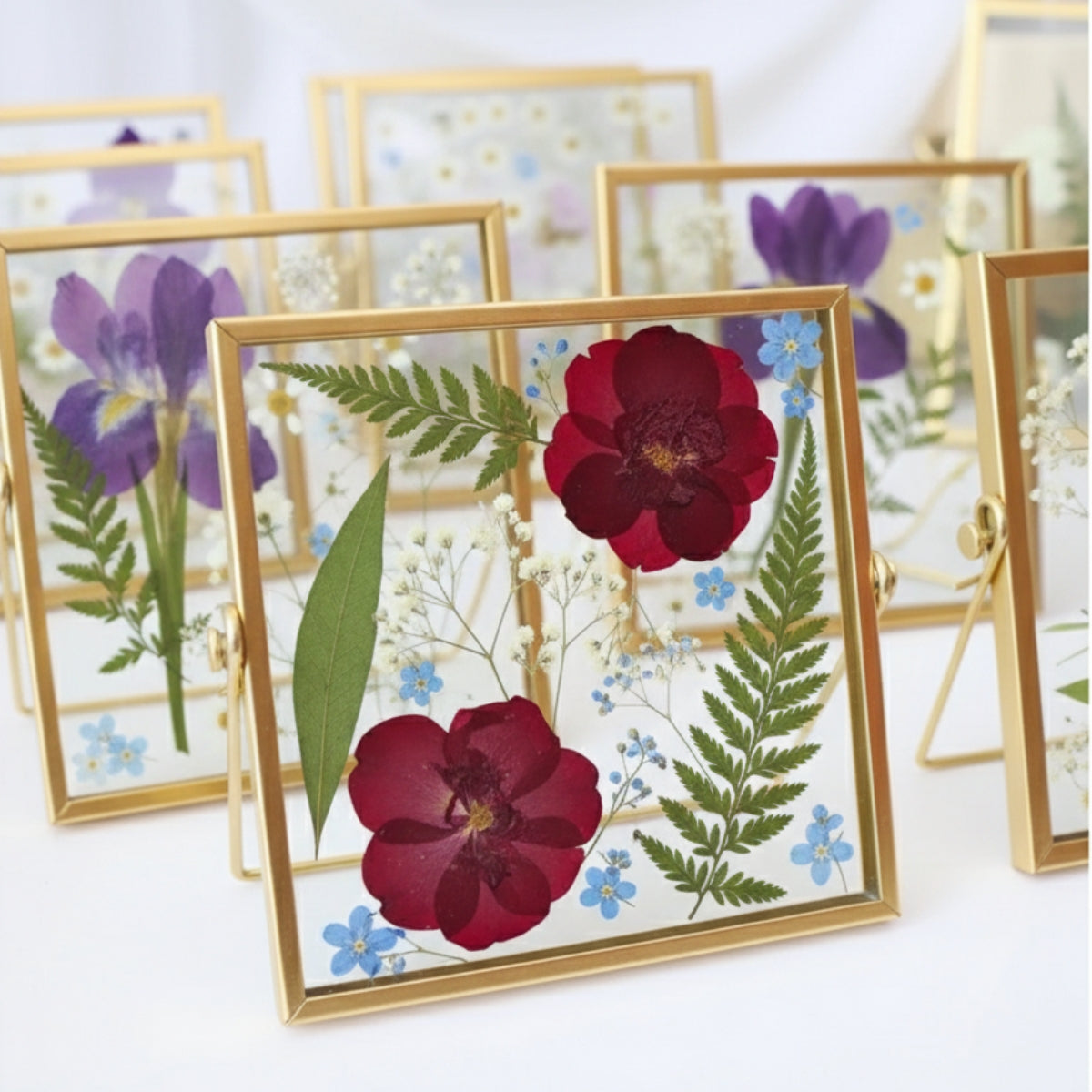 Pressed Flower Frame Workshop