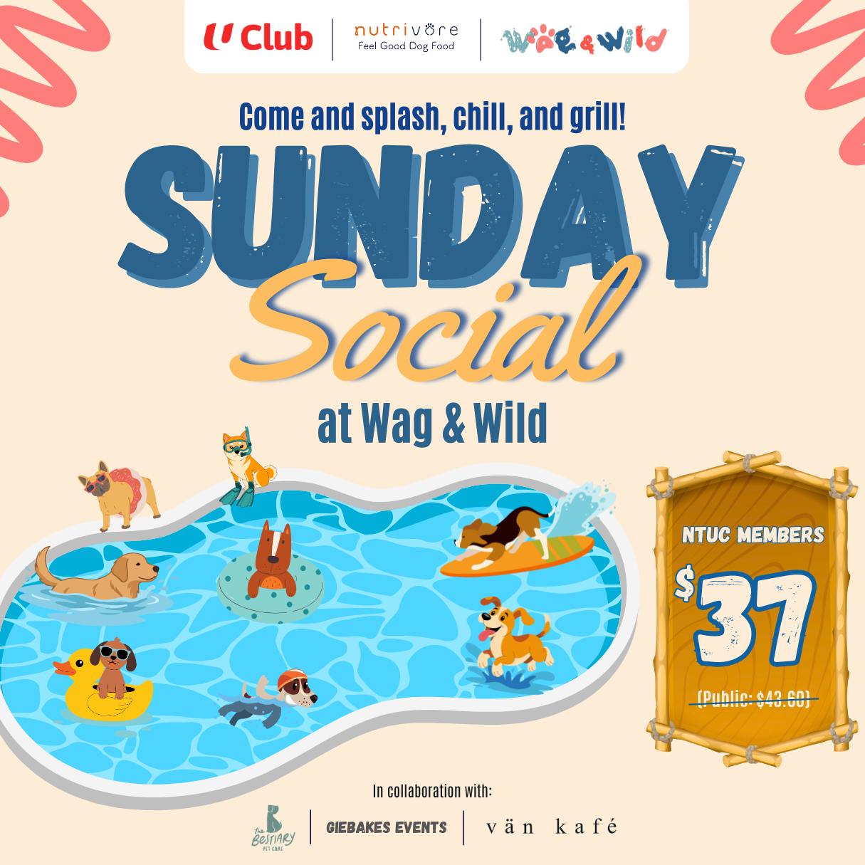 Sunday Social: Splash, Chill & Grill | Dog Pool Party at Wag & Wild