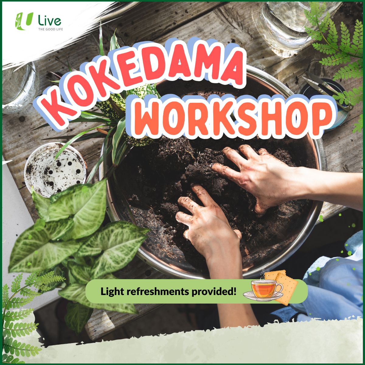 U Live Kokedama Workshop