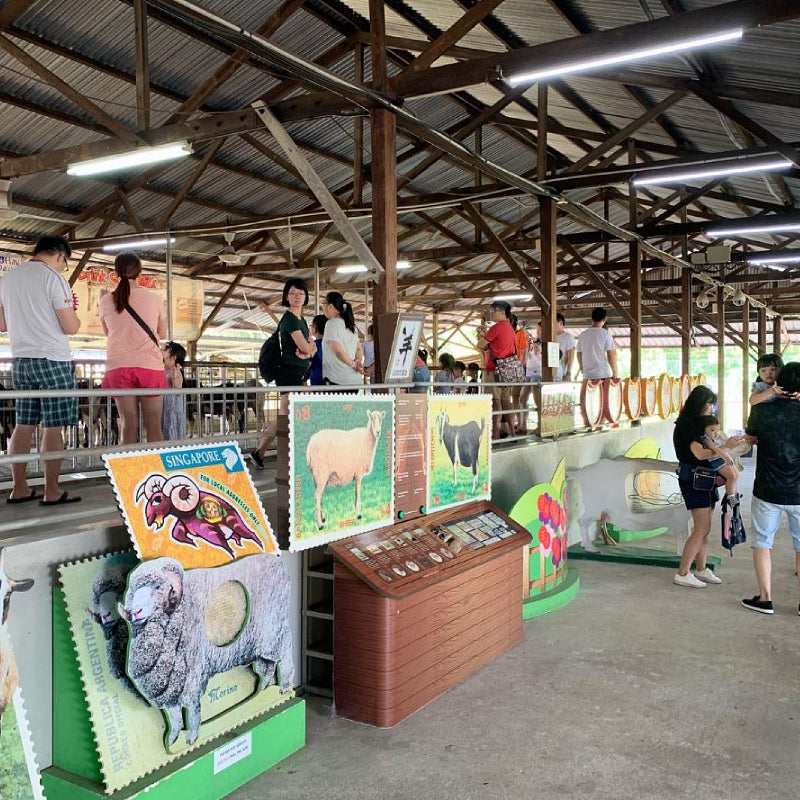 Hay Dairies Goat Farm Admission Ticket Family Bundle