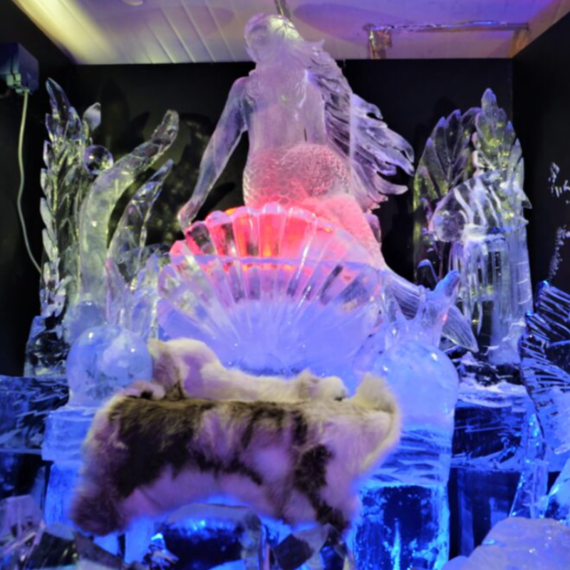 Singapore Snow City Tickets