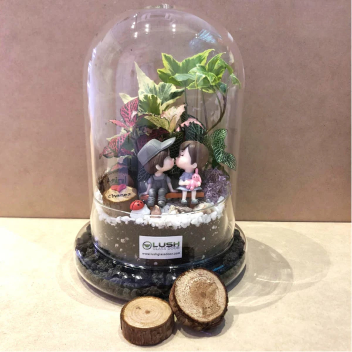 2 Pax Fun & Therapeutic Geometric Terrarium & Dome Terrarium Workshop Package