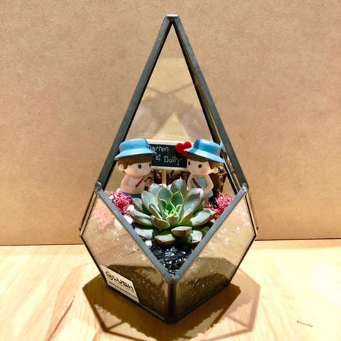 2 Pax Fun & Therapeutic Geometric Terrarium & Dome Terrarium Workshop Package