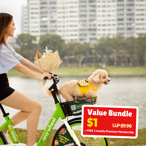 UPlay Premium Exclusive: 30-Day Anywheel Bike Pass