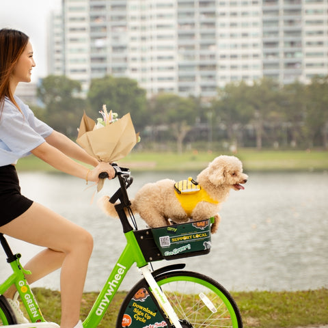 30-Day Anywheel Bike Pass