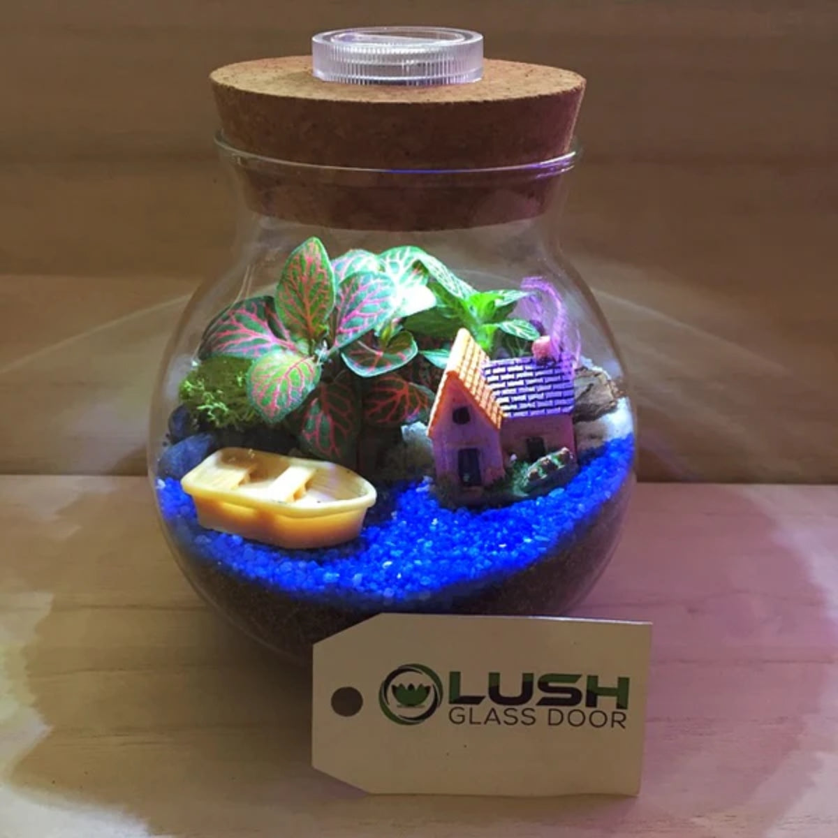 4 Pax Fun & Therapeutic Terrarium Workshop Package