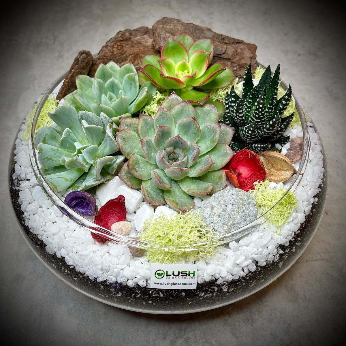 4 Pax Fun & Therapeutic Terrarium Workshop Package