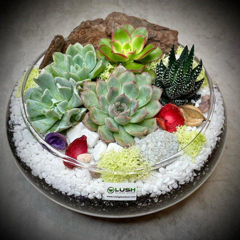 4 Pax Fun & Therapeutic Terrarium Workshop Package