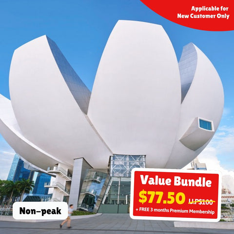 teamLab Future World @ ArtScience Museum – Family Package [Singapore Resident]