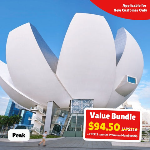 teamLab Future World @ ArtScience Museum – Family Package [Singapore Resident]