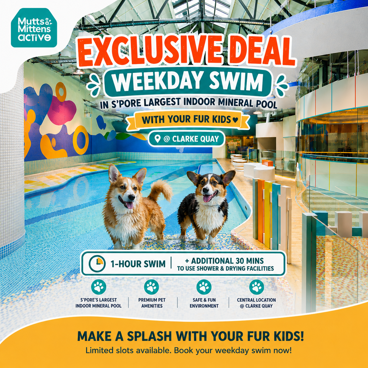 Weekday Swim with your Fur Kids in Singapore’s Largest Indoor Mineral Pool @ Clarke Quay