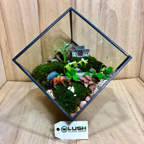 Fun & Therapeutic Succulents in Geometric Square Prism Couple Terrarium Workshop