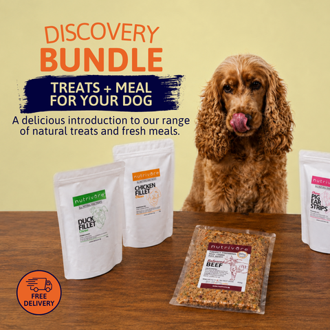 Discovery Bundle: Natural Treats + Fresh Meal