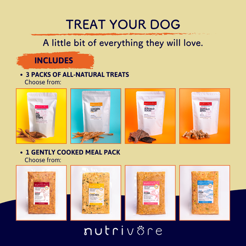 Discovery Bundle: Natural Treats + Fresh Meal