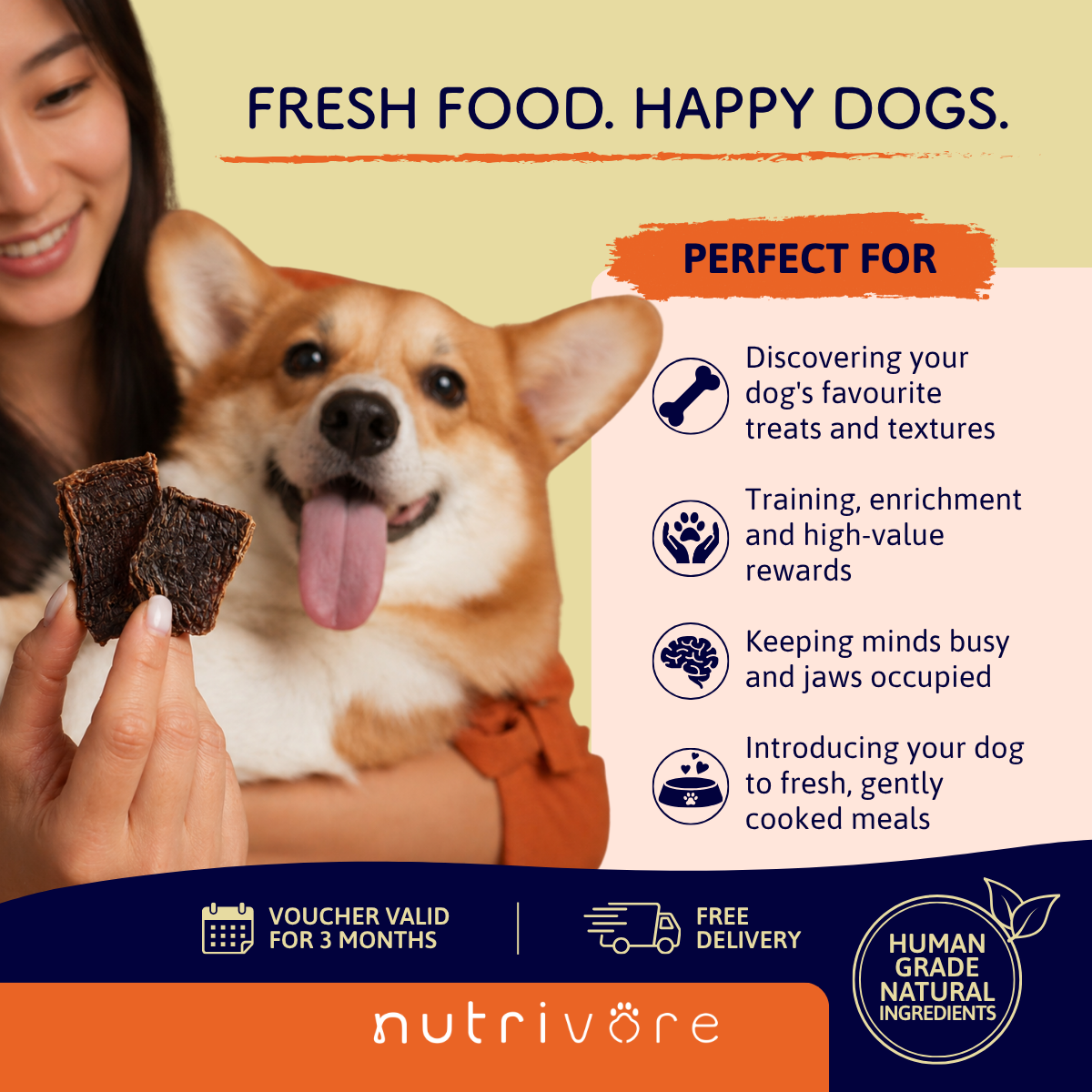 Discovery Bundle: Natural Treats + Fresh Meal