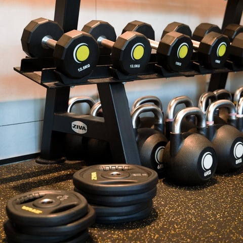 2-Week Fitness Trial at Amore Fitness