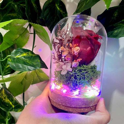 Create Your Own Preserved Flower Dome (1-Hour Workshop)