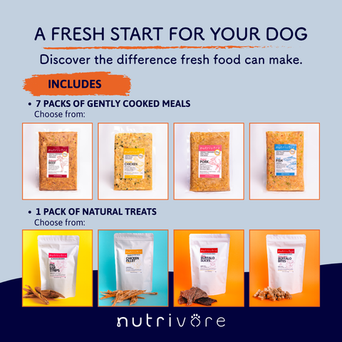 Fresh Start Bundle: Meals + Treats for Your Dog