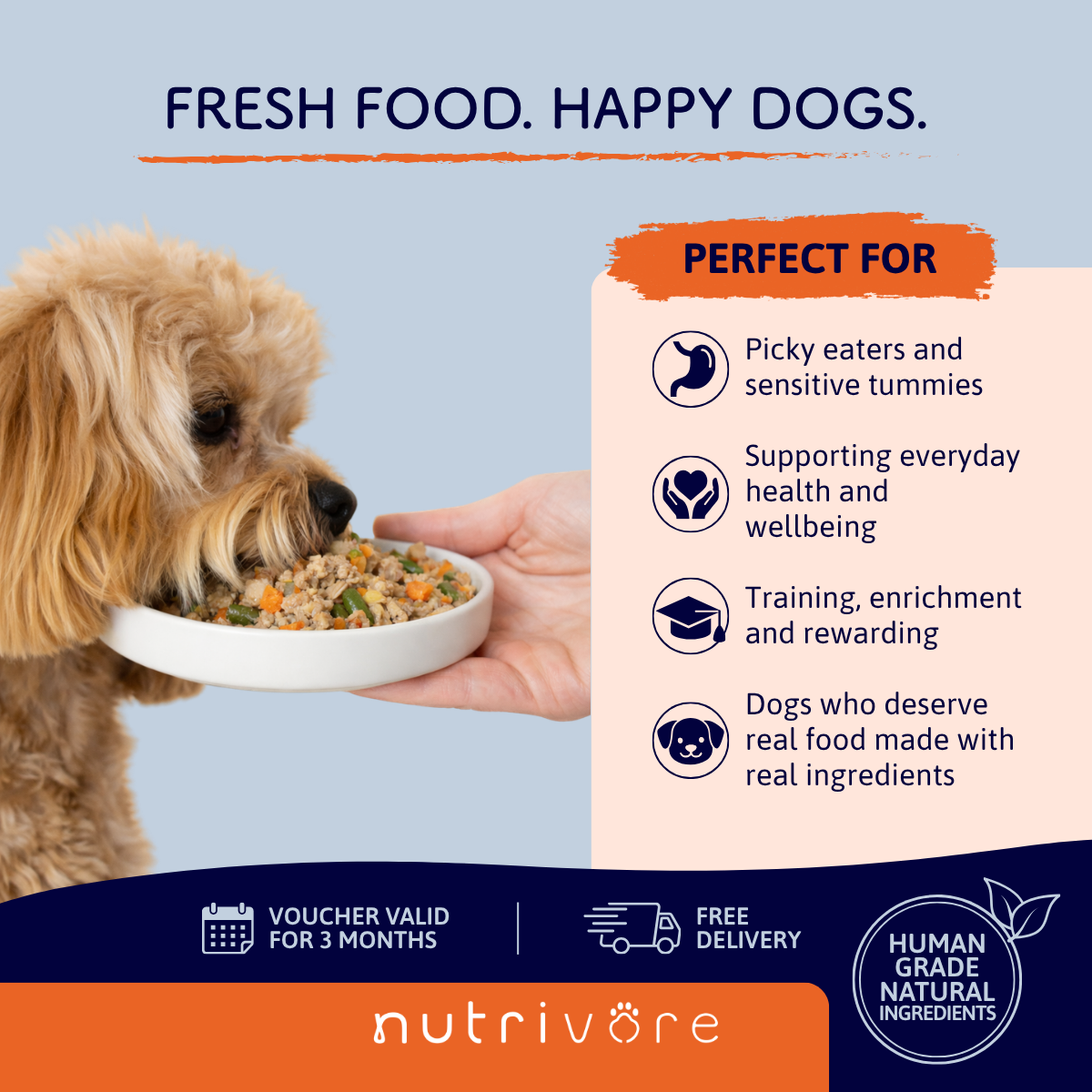 Fresh Start Bundle: Meals + Treats for Your Dog