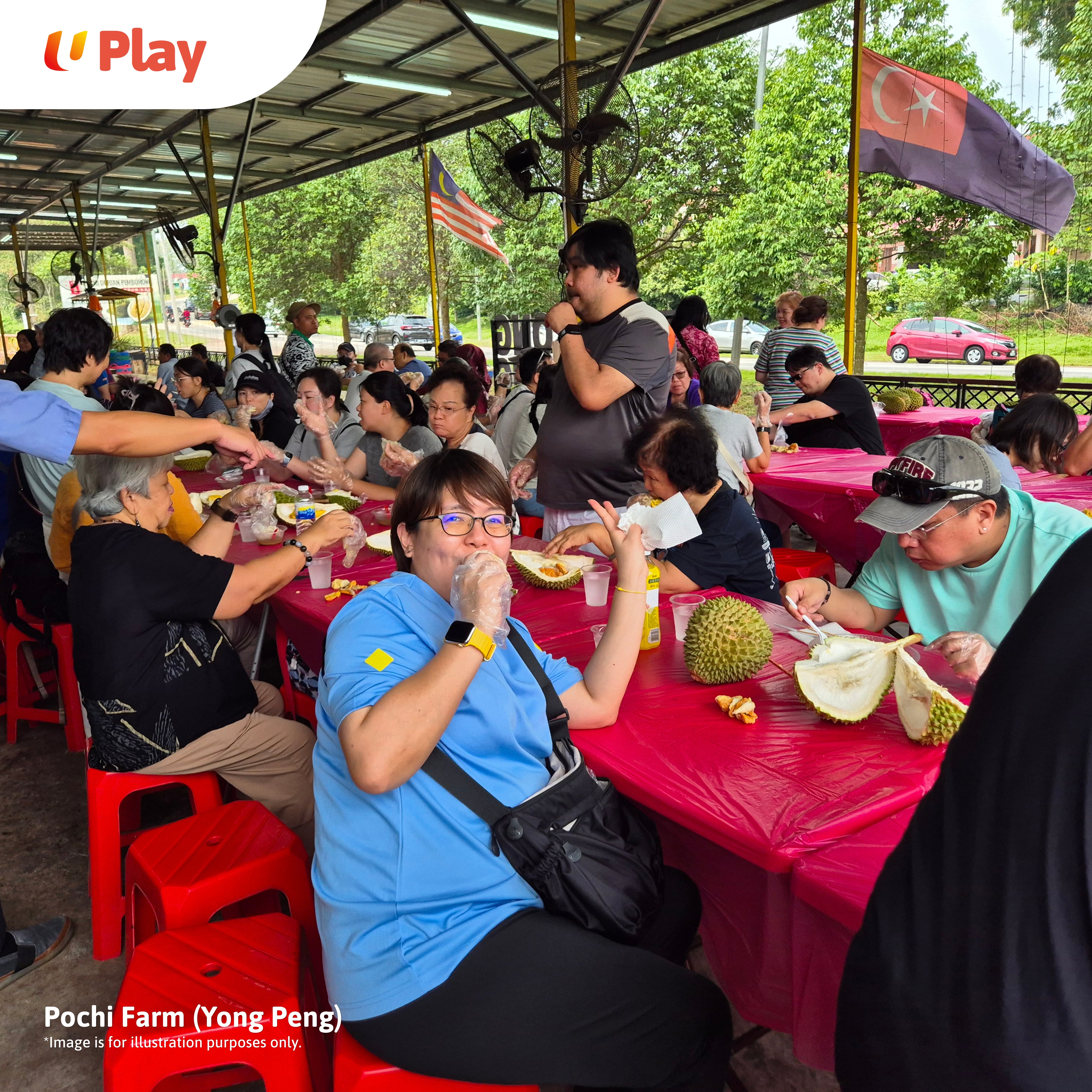 Johor Bahru Durian Day Trip