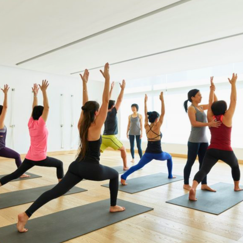 Wellness Talk and Yoga Session