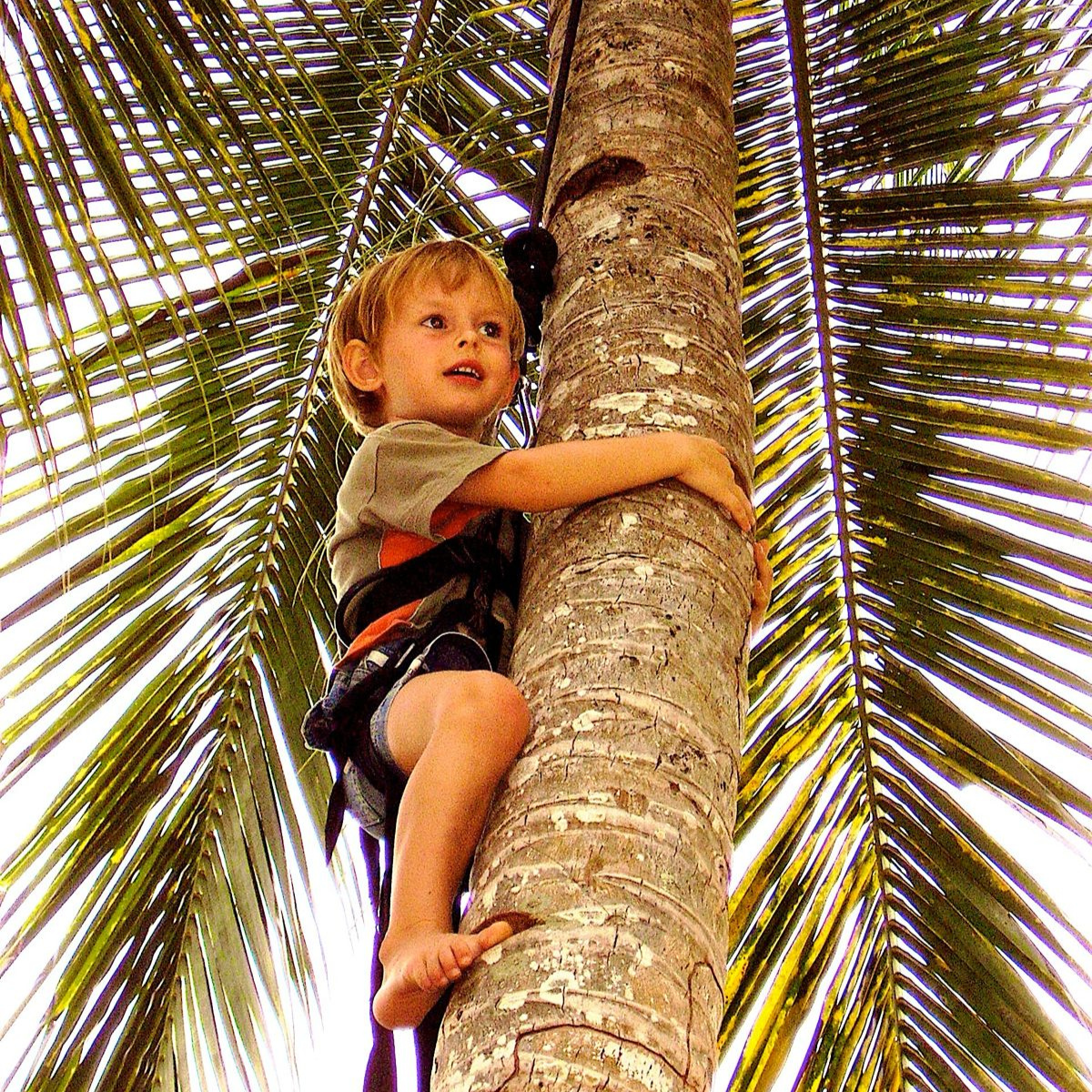 3D2N Bintan Eco Luxury Family Stay at LooLa Eco Adventure Resort