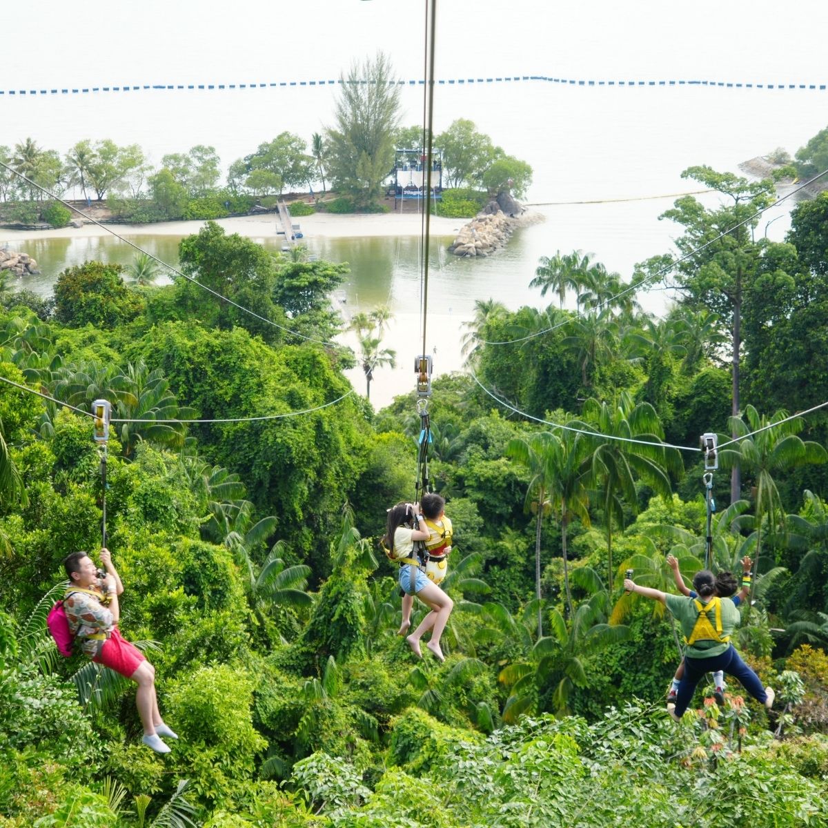 MegaZip – 450m Triple-Wire Zipline Adventure