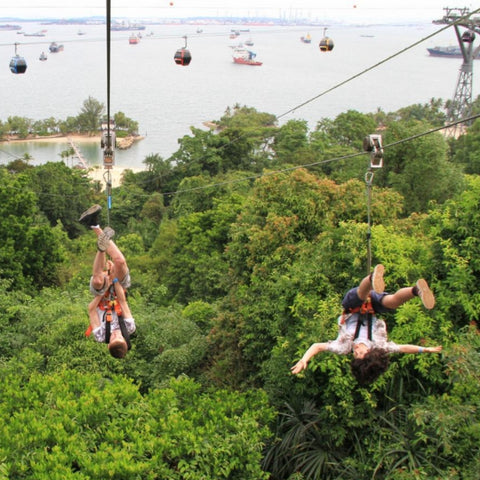 MegaZip, Climb & Jump Adventure Experience