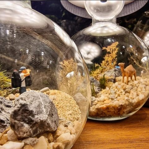 Craft Your Own Tiny World: Miniature Land Mood Lamp Workshop for 2 pax
