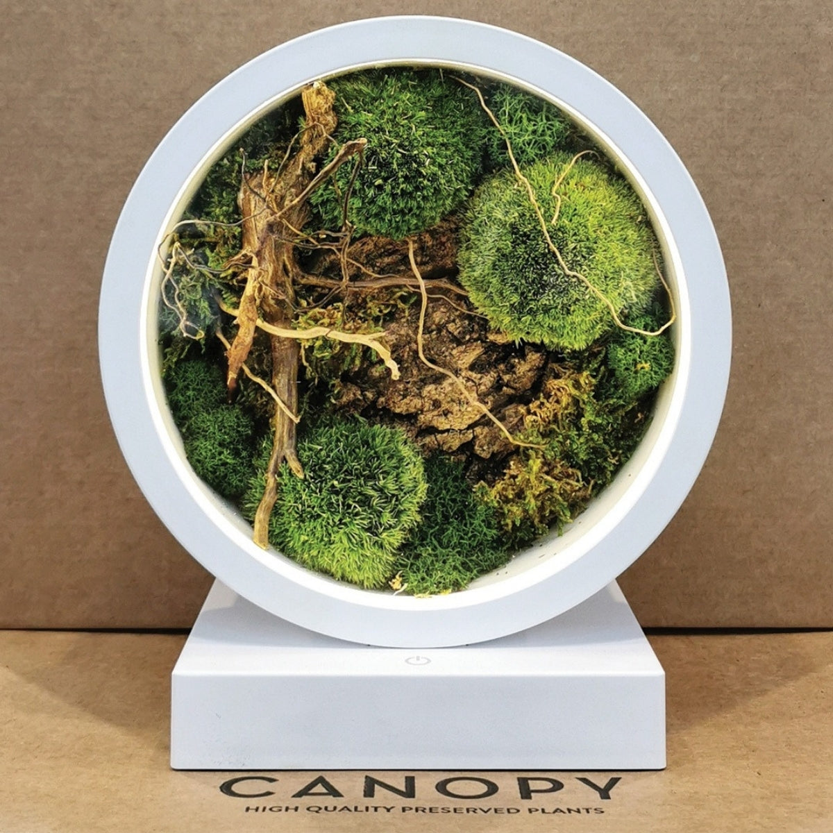 Nature Meets Light: Preserved Moss Mood Lamp Workshop for 2 pax