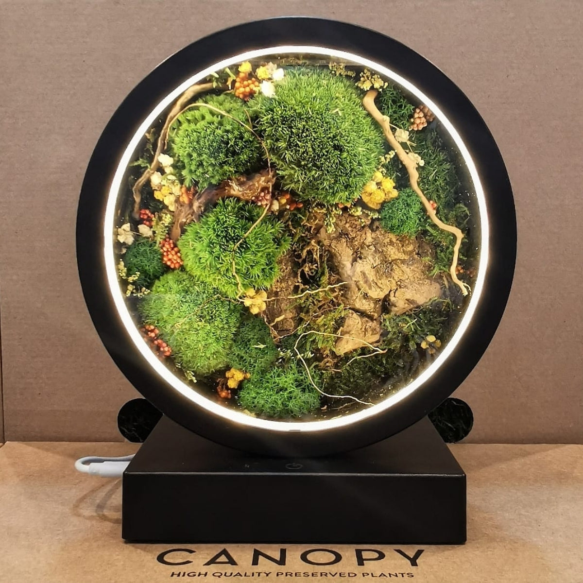 Nature Meets Light: Preserved Moss Mood Lamp Workshop for 2 pax