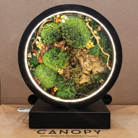 Nature Meets Light: Preserved Moss Mood Lamp Workshop for 2 pax
