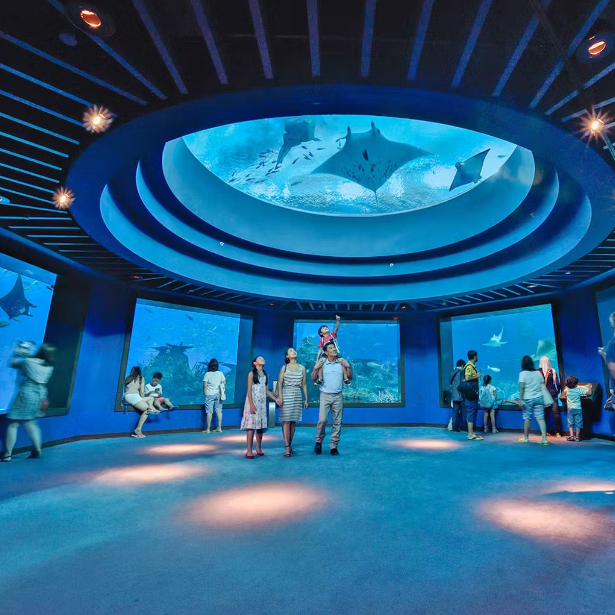 Singapore Oceanarium + Dolphin Connection [Non -Peak]
