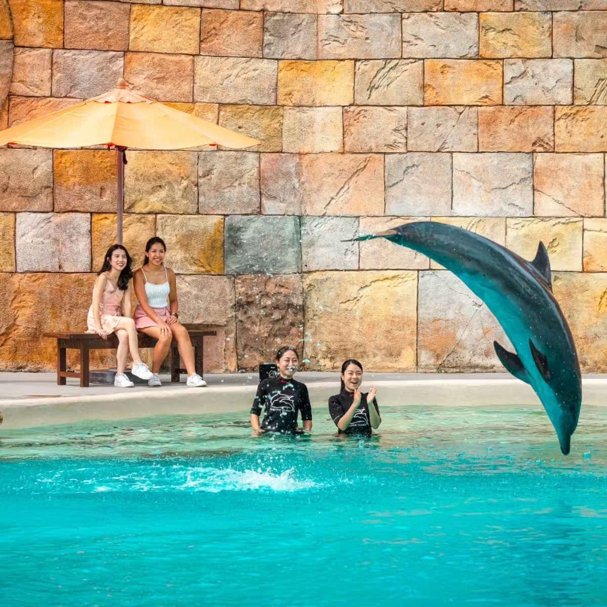 Singapore Oceanarium + Dolphin Connection [Non -Peak]