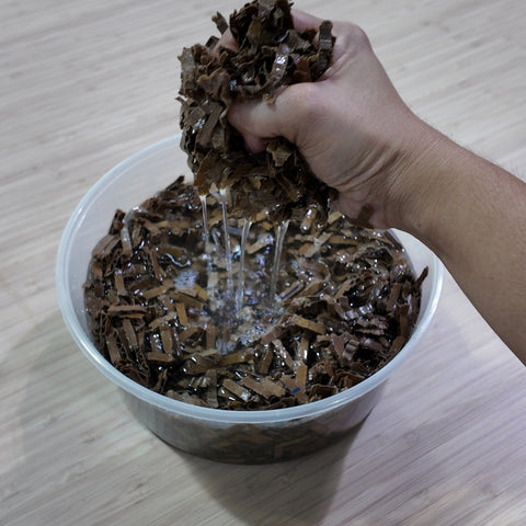 Paper Alchemy: Making Clay from Recycled Paper for 2 Adults and 2 Children