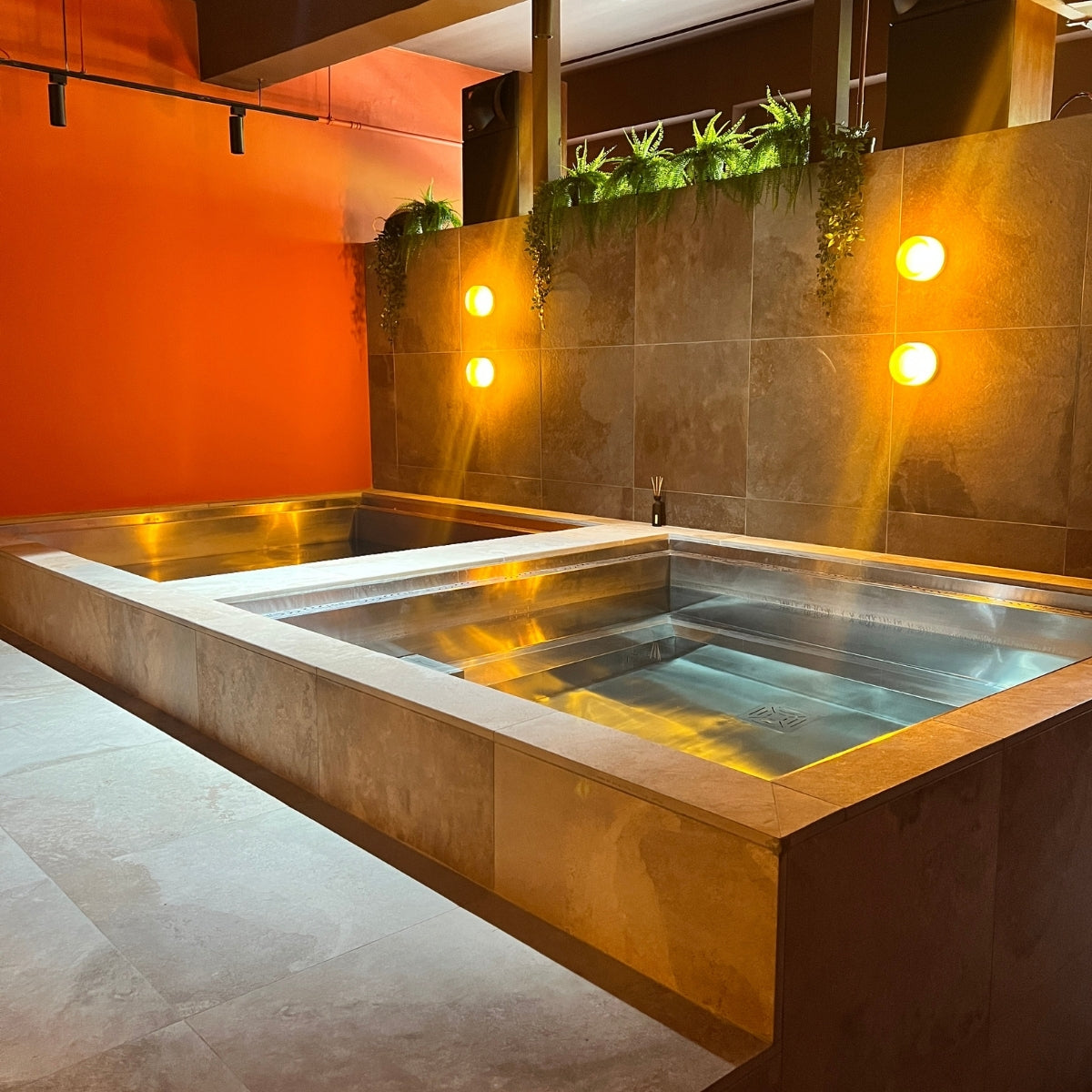2-Week Unlimited All-Access Cold Plunge, Sauna & Recovery Sessions