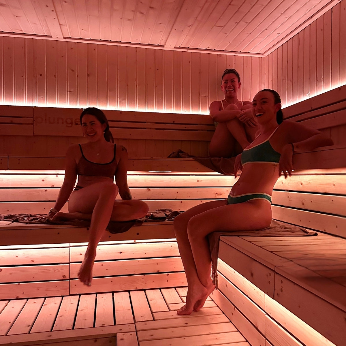Cold Plunge, Sauna & Recovery (One All-Access Session)