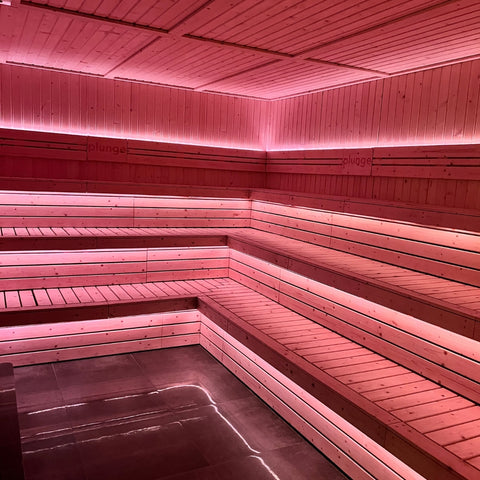 Cold Plunge, Sauna & Recovery (One Off-Peak Session)