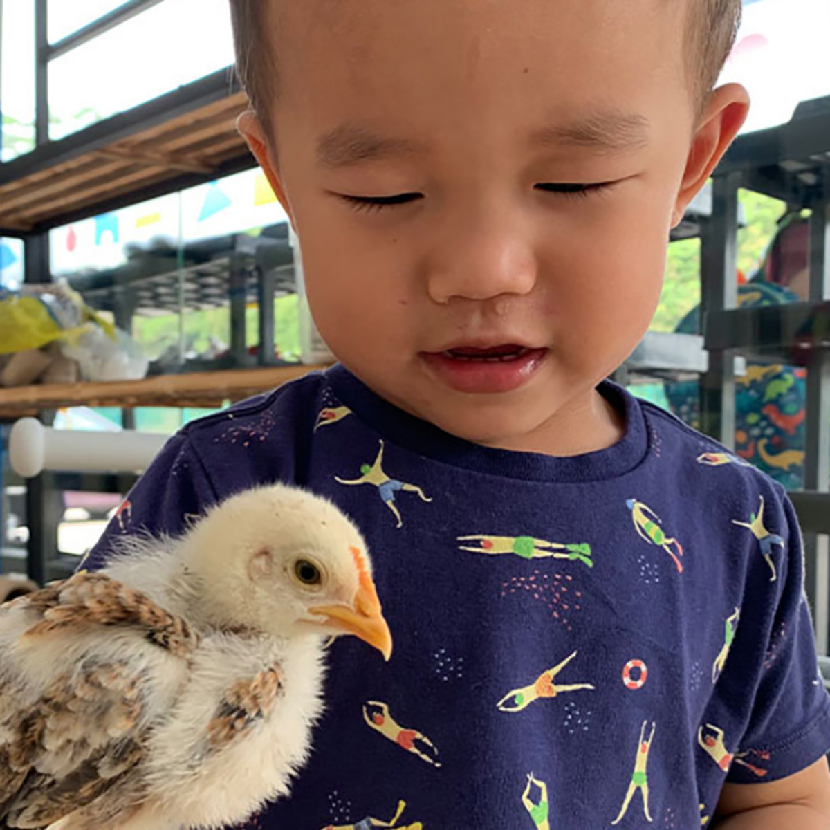 2D1N Rustic Farmstay at Talula Hill Farm Resort Kluang