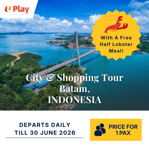 Exclusive Batam Daytrip - City & Shopping Tour